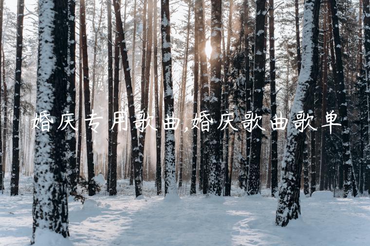 婚庆专用歌曲,婚庆歌曲歌单